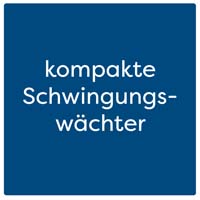 kompakte Schwingungswächter